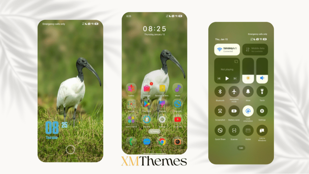 XMThemes 22 3 AJ Birds HyperOS Theme
